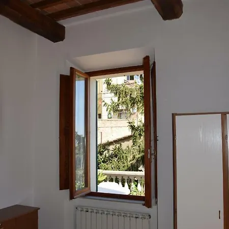 Polino