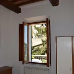Polino